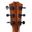 Taylor Limited 300 Series Blackwood Mahogany Baritone 6 String
