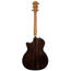 Taylor 414ce LTD Grand Auditorium Sinker Redwood and Indian Rosewood Acoustic Guitar