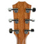 Taylor 414ce LTD Grand Auditorium Sinker Redwood and Indian Rosewood Acoustic Guitar