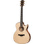 Taylor Limited Edition 514CE-FM Grand Auditorium
