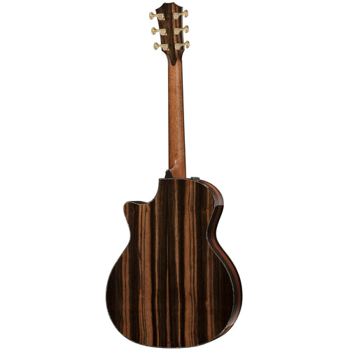 Taylor PS14CE Presentation Series Grand Auditorium - Natural