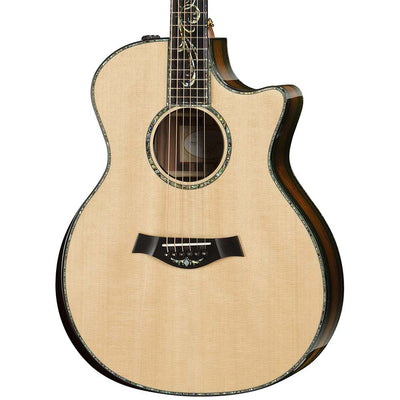 Taylor PS14CE Presentation Series Grand Auditorium - Natural