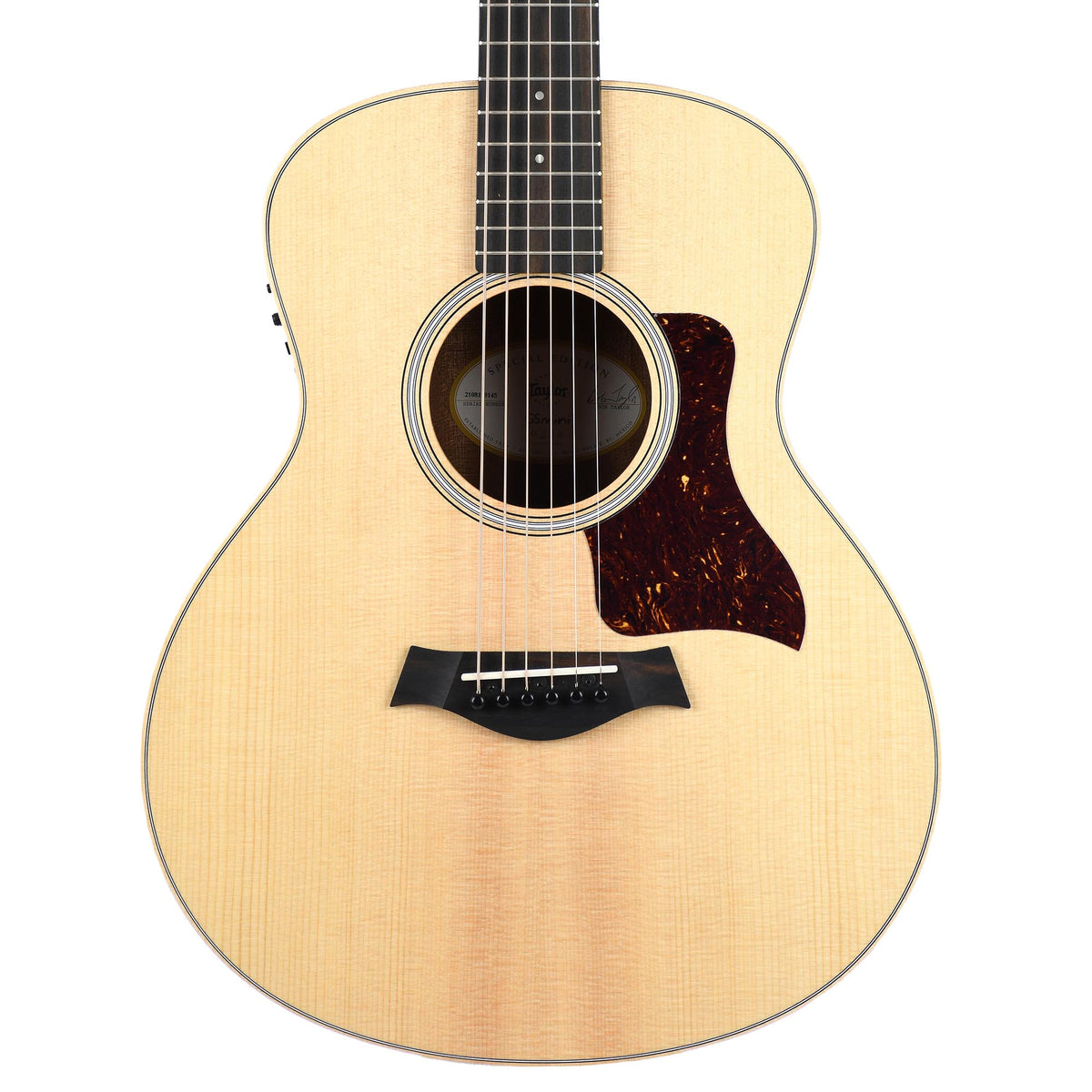 Taylor Road Show Limited GS Mini-E Black