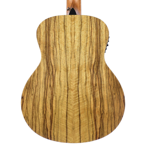 Taylor Road Show Limited GS Mini-E Black