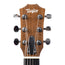 Taylor Road Show Limited GS Mini-E Black