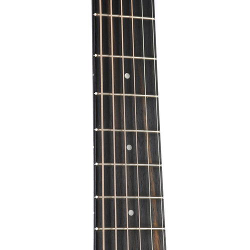 Taylor Road Show Limited GS Mini-E Black