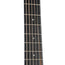 Taylor Road Show Limited GS Mini-E Black