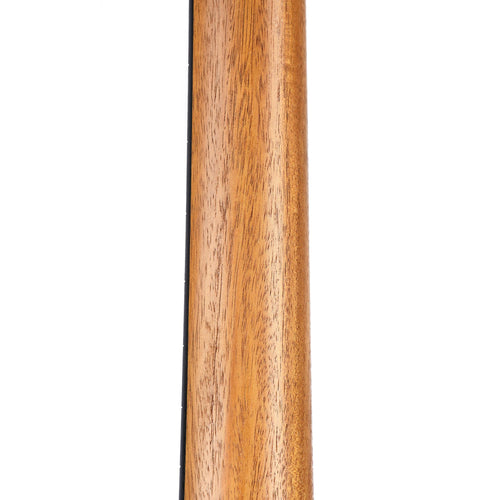 Taylor Road Show Limited GS Mini-E Black