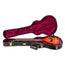 Taylor 2018 T5Z Pro Limited - Sapele/Quilted Maple Aged Cherry - Roadshow Exclusive