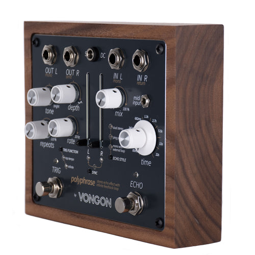 moog delay pedal Vongon Polyphrase Stereo Echo Pedal w/ Power Supply, Patch Cables & Cloth