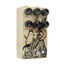Walrus Audio Eons Five-State Fuzz Effect Pedal