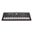 Yamaha PSR-EW410 76 Key High Level Portable Keyboard With PA300 AC Power Adapter